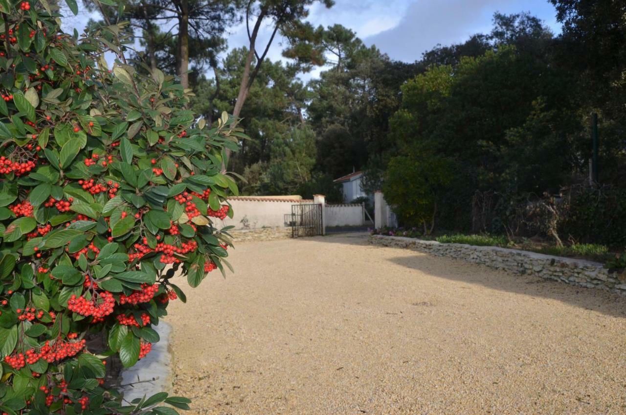 Maisonnette Maumusson Villa Saint-Trojan-les-Bains Eksteriør bilde